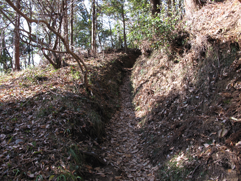 20160108hike (52)